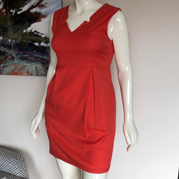 Pink Martini- Fit and Flare - Picture 2 of 12